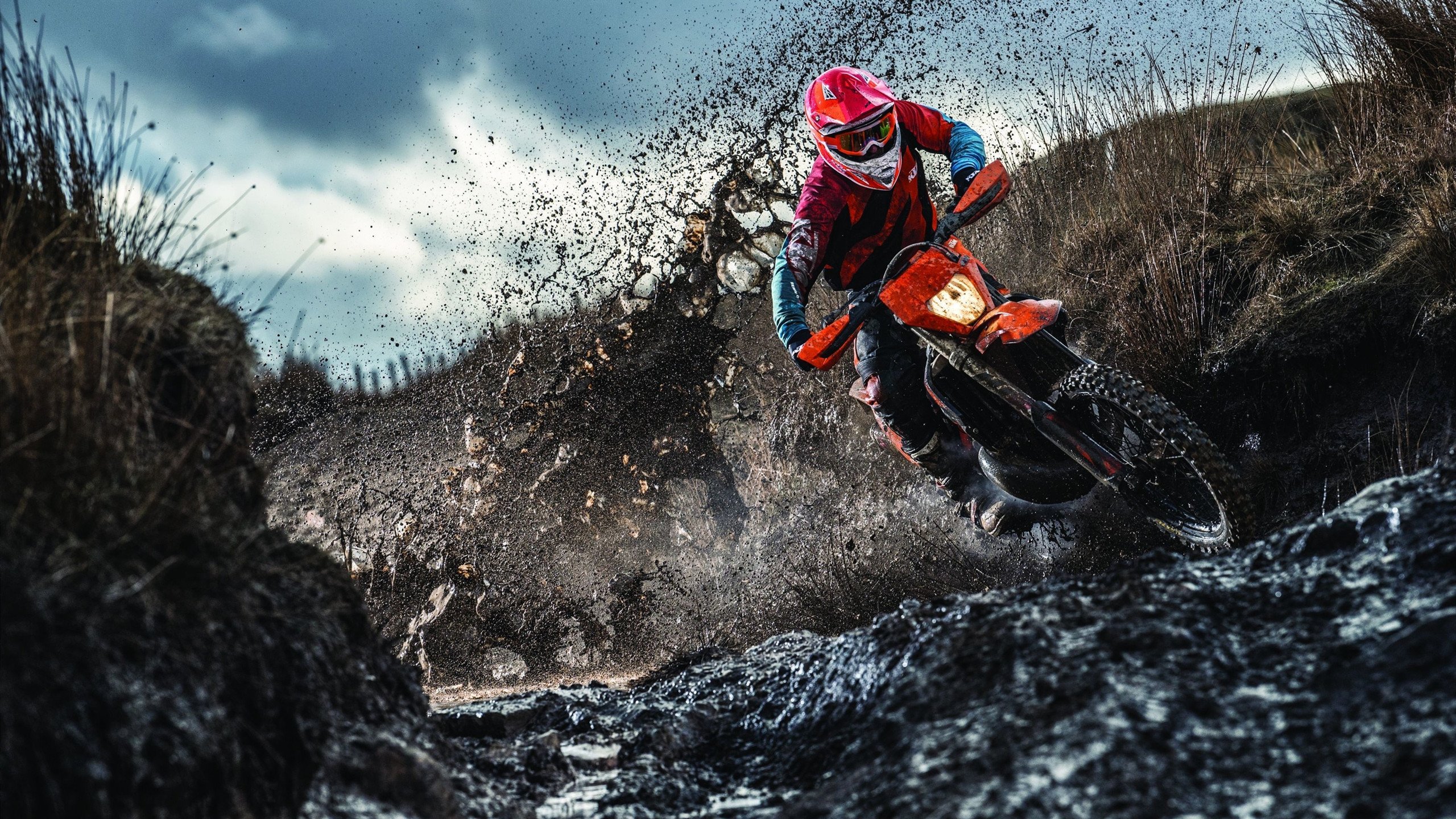 绿茵与硬木，跨越山河的竞技诗篇