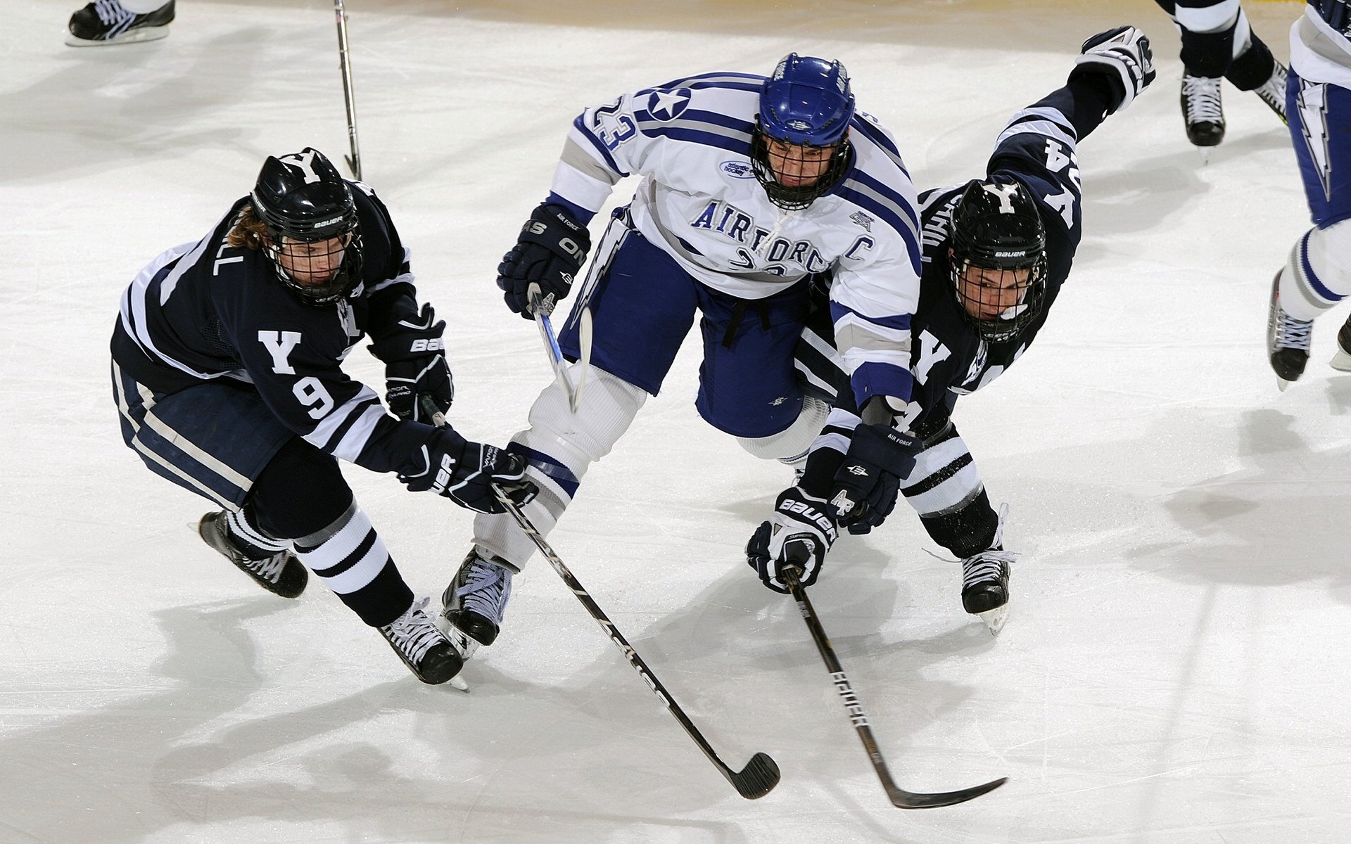 年度焦点之战之夜，锡安节奏完全掌控