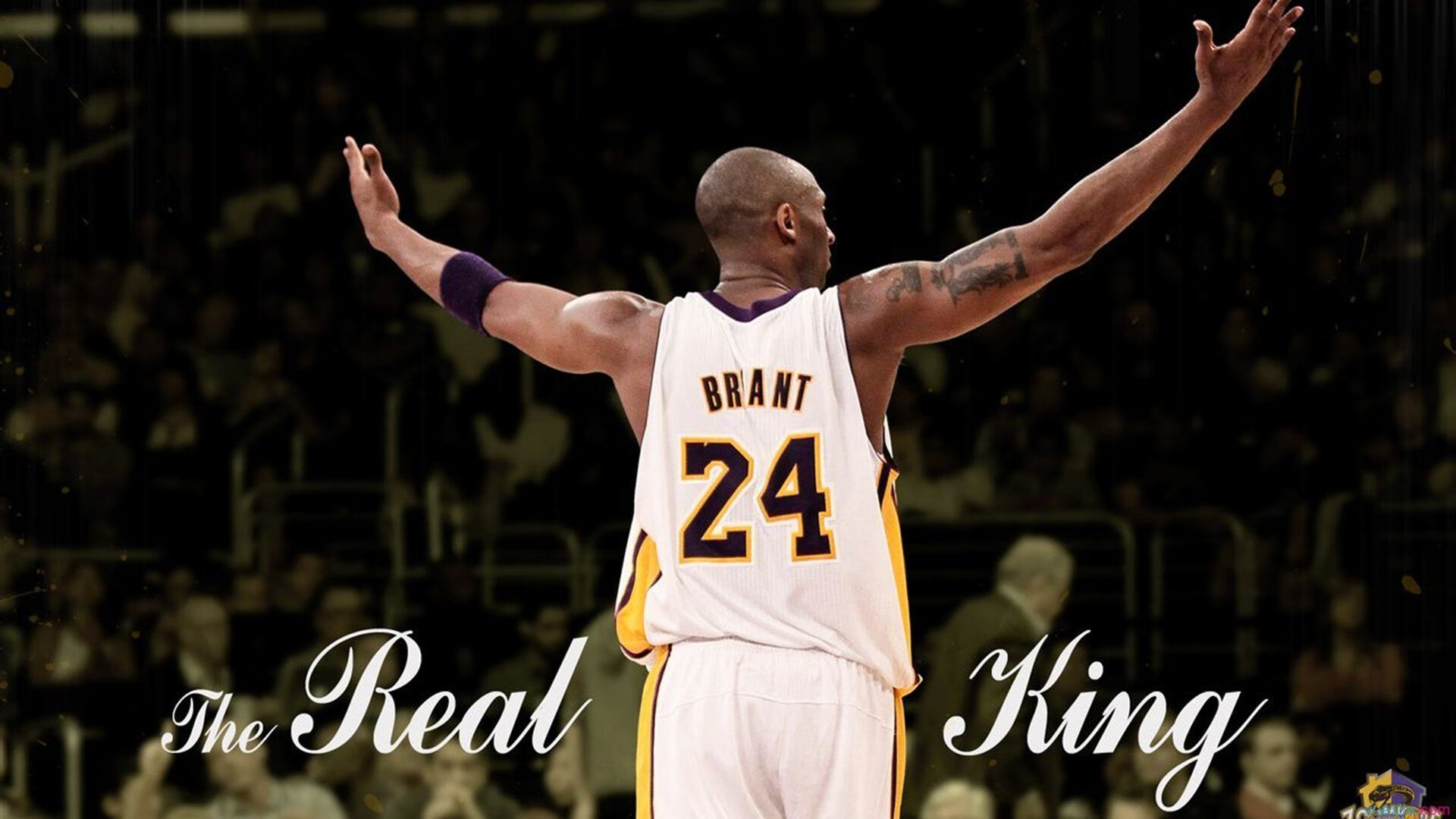 独行侠的节奏，F1年度争冠焦点战中的骑士哲学