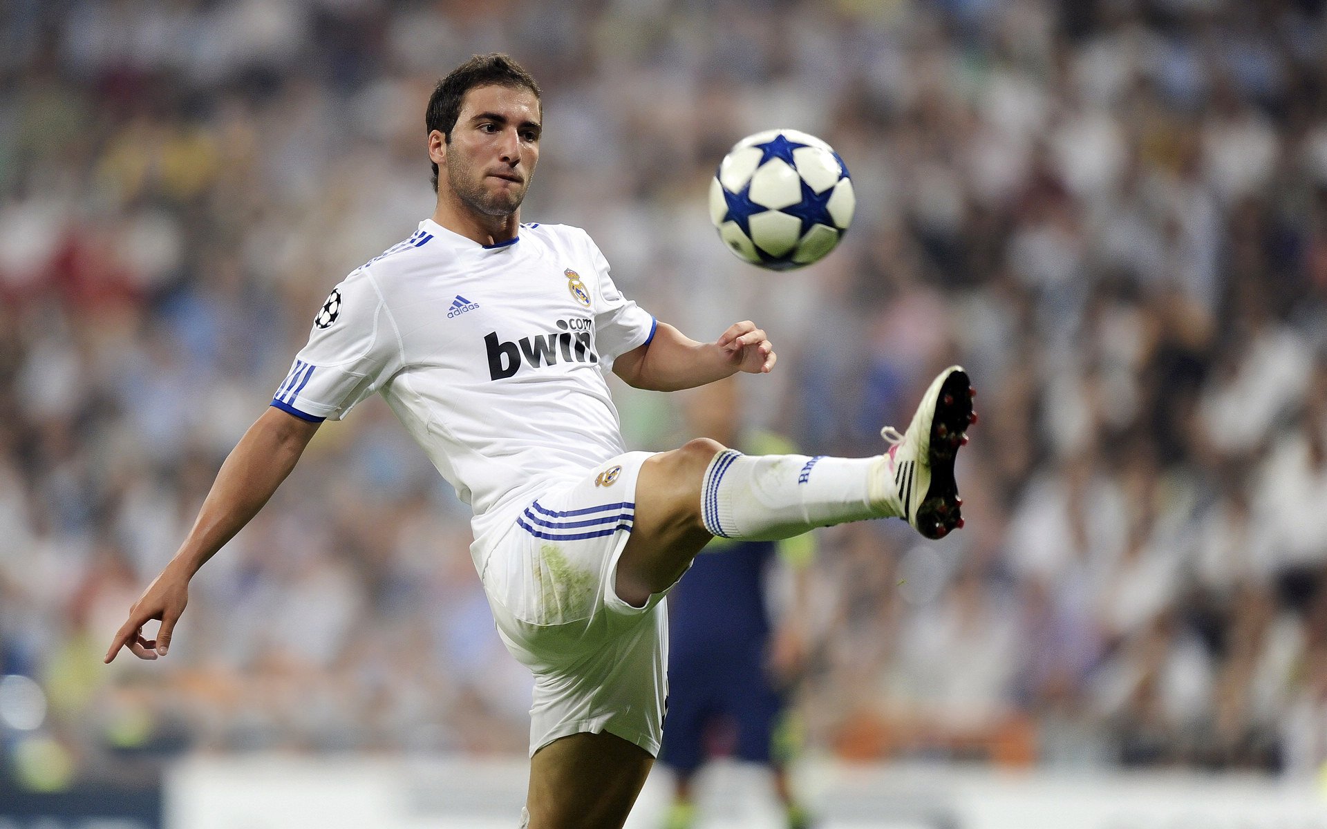 双城记，骑士铁蹄踏破圣城，贝恩引擎轰鸣街道—当篮球骑士与F1新王共写竞技传奇